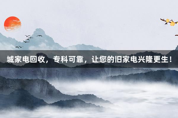 城家电回收，专科可靠，让您的旧家电兴隆更生！